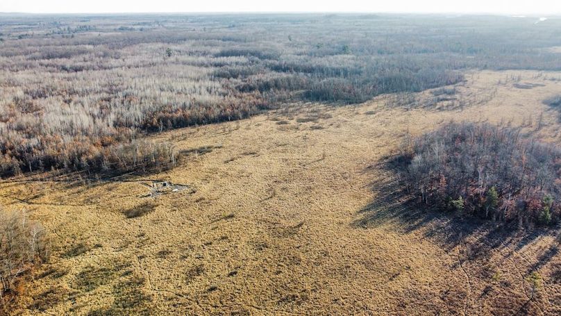 ClarK 160 WILLIAMS -31