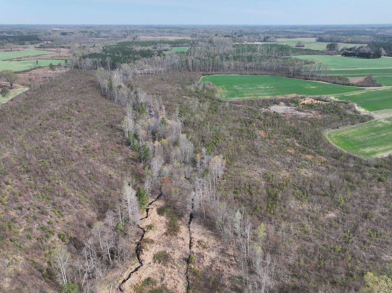 Copy of DJI_20260303062707_0516_D