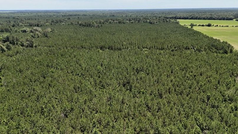 dji_fly_20250528_020338_0040_1748386793342_photo