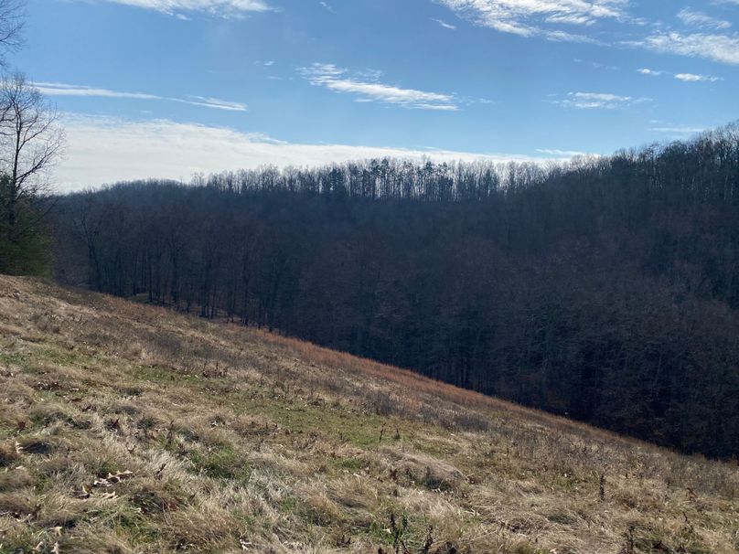 026 one of the transition areas on a south facing slope copy