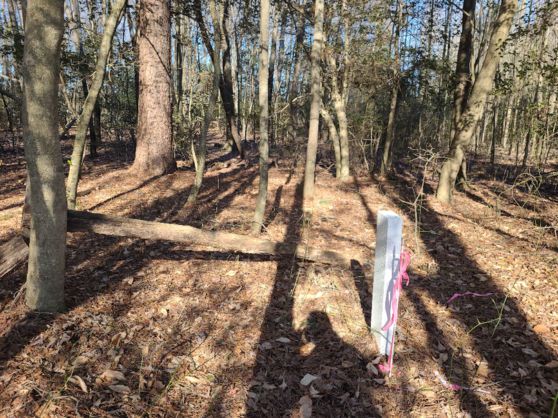 50.38ac_BethlehemRd_Caroline_Pic020