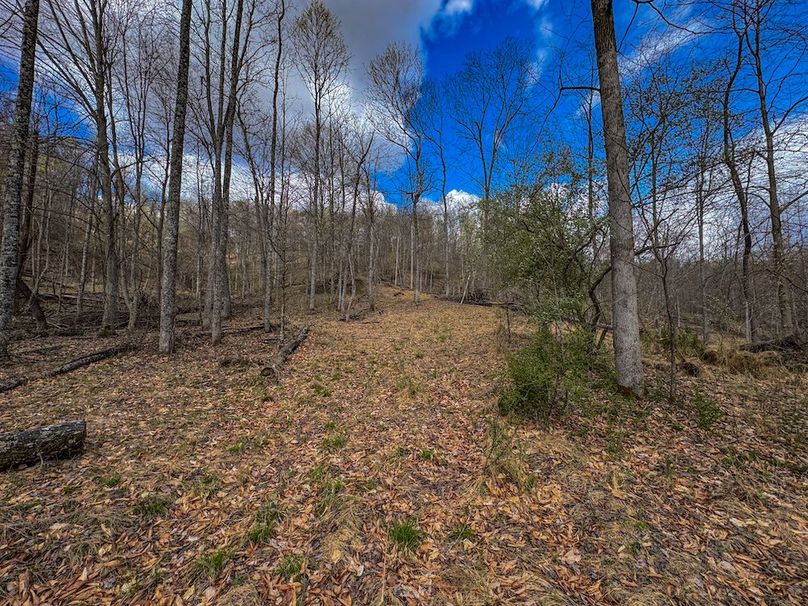 Wirt, WV 156.941 AC Full-37