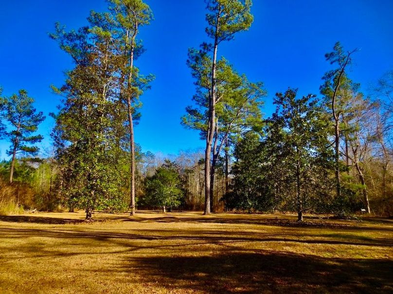 10EB7FF0-6CE5-4B3E-B6CF-72A3106528DB_1_105_c