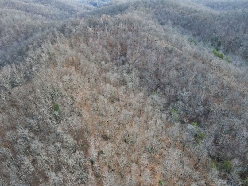 018 aerial view over the ridgetop-2
