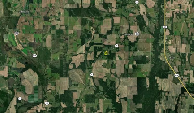 Screenshot 2025-08-11 at 8.54.26 AM