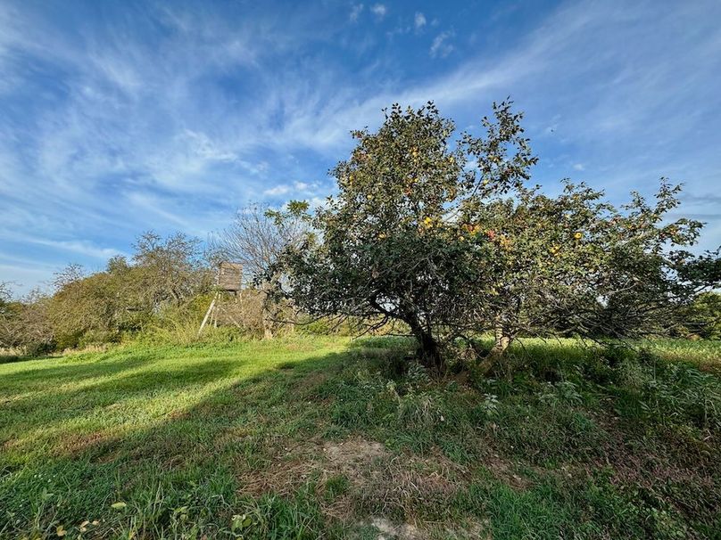 Richland 199Ground - 19