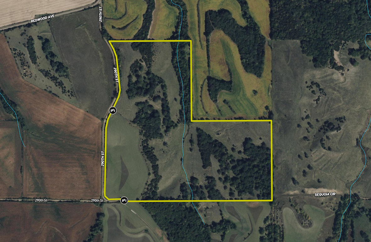 Screenshot 2025-06-19 at 9.27.07 AM