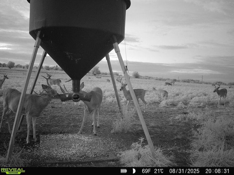 860516064952926-50-2-09012025052640-HD-SYFW6407