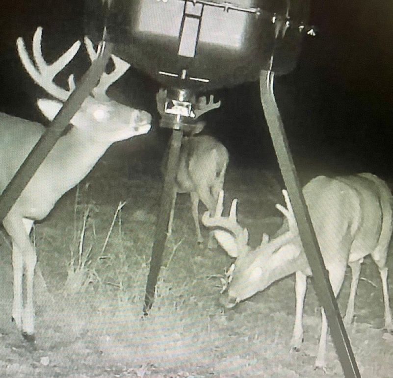 View recent photos(2)