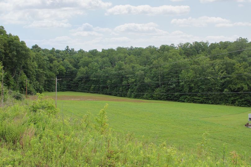 003 view of the open field area behind the cabin