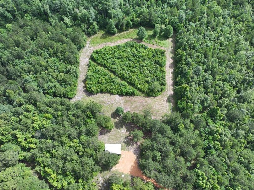 dji_fly_20250612_101802_0103_1750261385469_photo
