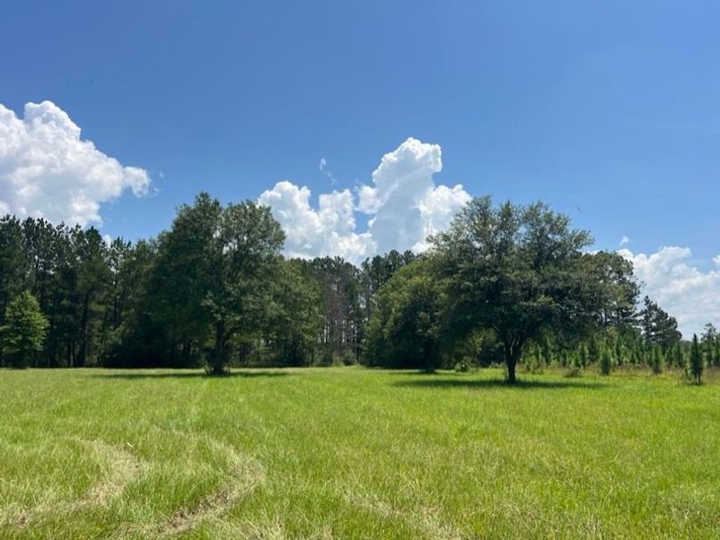 41A70C13-73CB-48C8-BF1B-45A29785E070_1_105_c