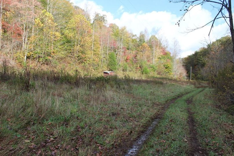 030 secondary growth field behind house lot 