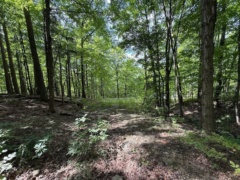 Ontario_2.7_Proseus Photo 22