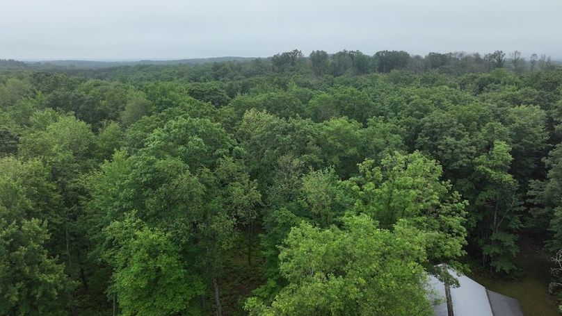 DJI_0221