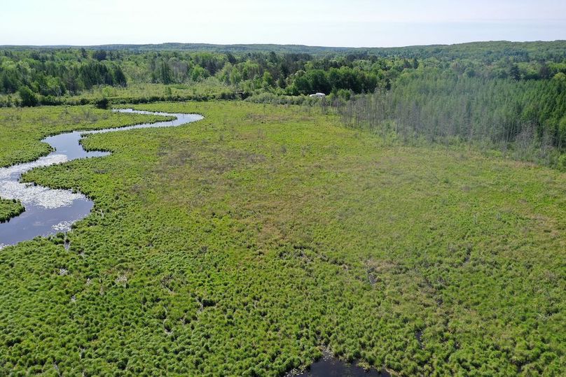 org_6219979632c58f58_1717337208000