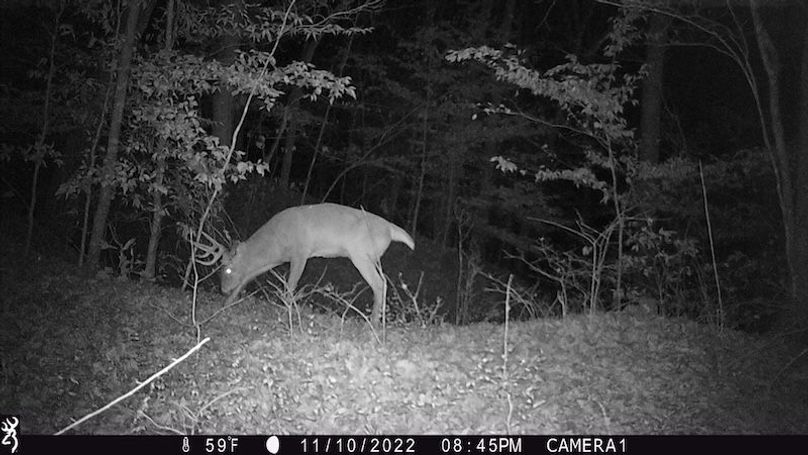 trail cam29