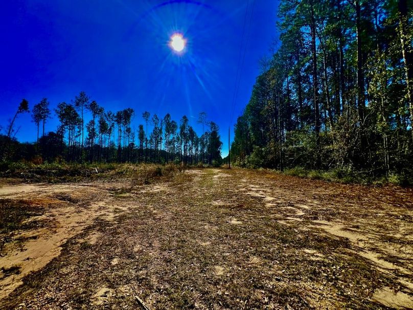 AEA80395-6B4E-4800-A754-518EF4479E89_1_201_a