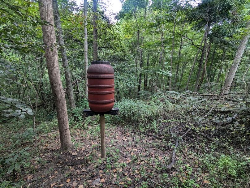 PXL_20240819_145100261