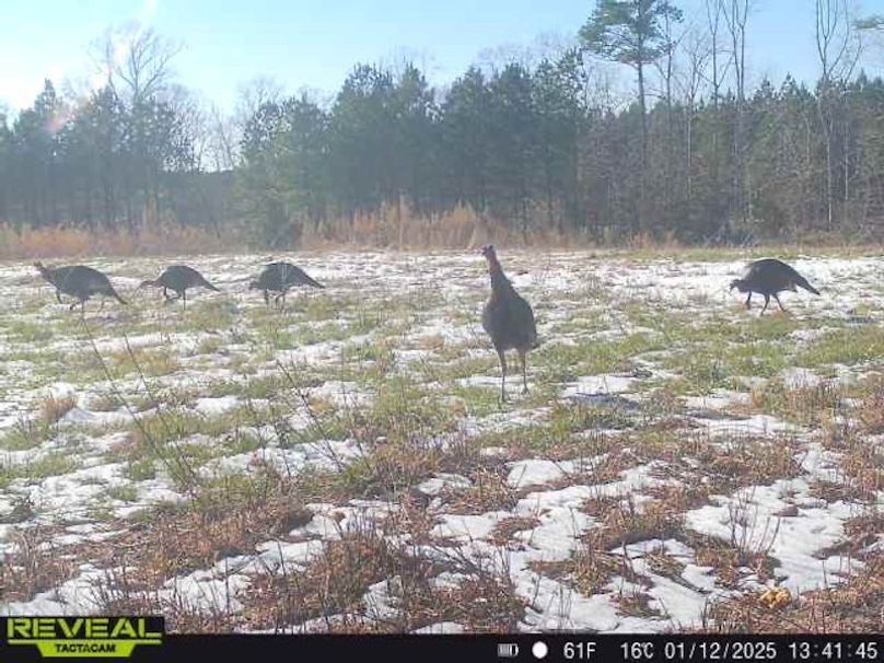 862515041600028-60-5-01122025134144-W1000733