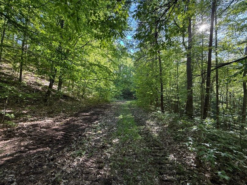 019 pretty cool photo while traveling along the trail system