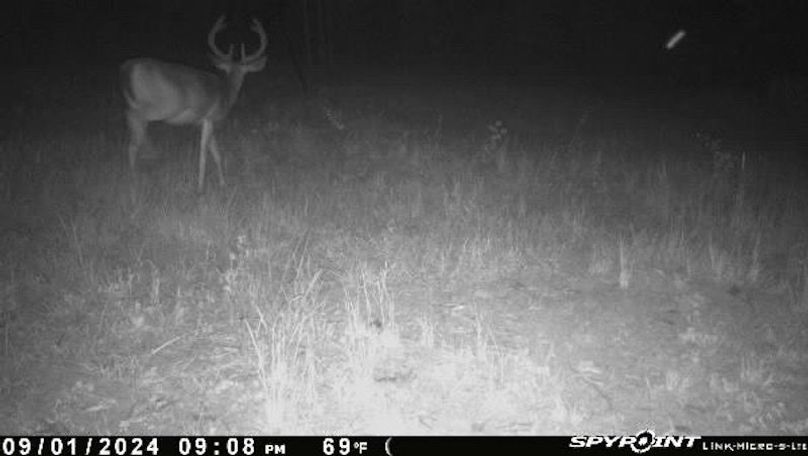Trail Pic 4