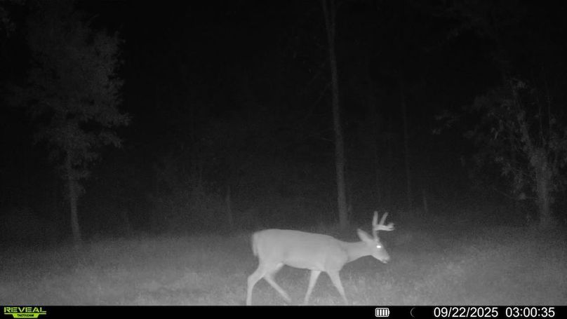 016578004352834-100-3-09222025030035-SYFW00221