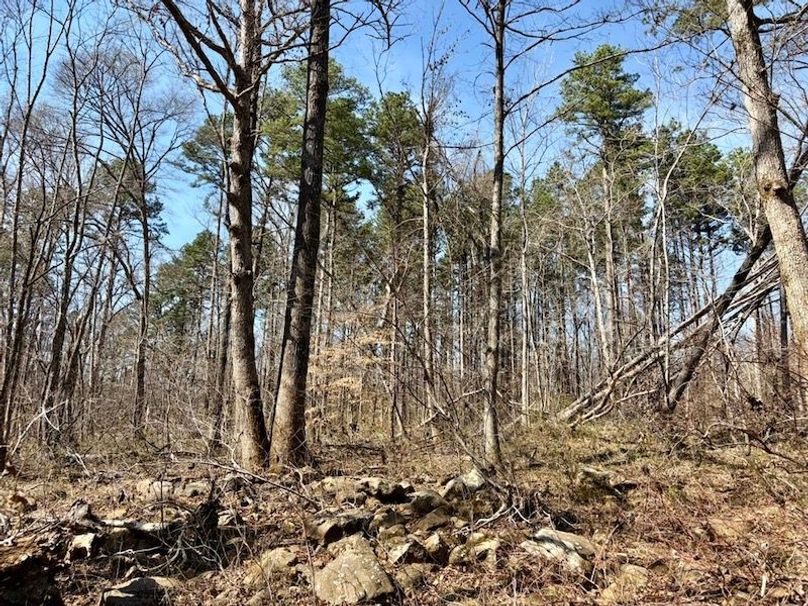 098202DC-1445-47A0-B3B0-81B66858582E_1_105_c