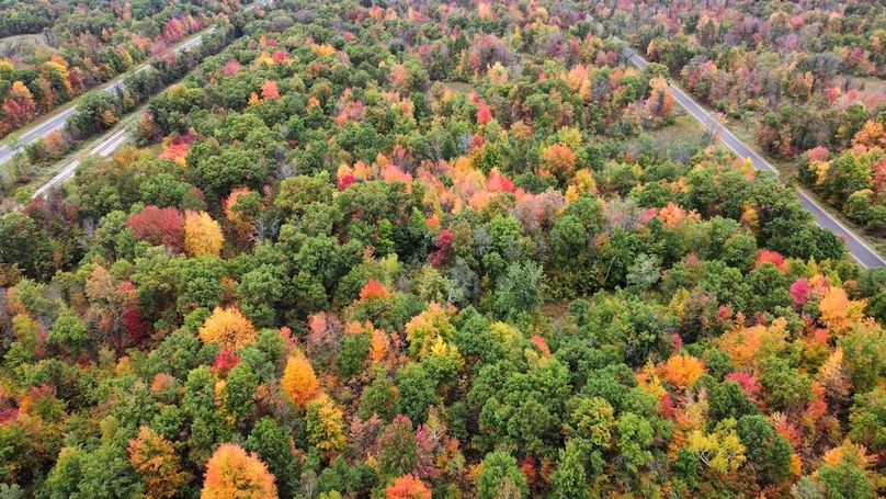 dji_fly_20230927_094228_700_1695826187140_photo_optimized