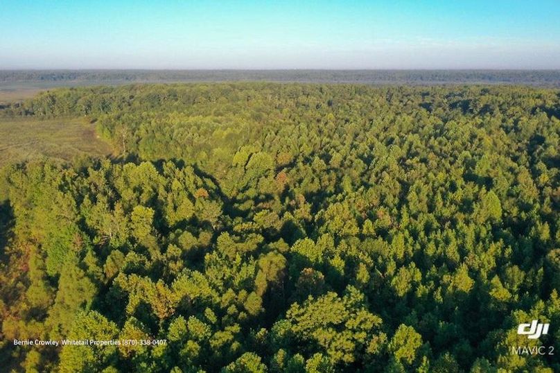 DeSoto 329 Prewett (Thompson) -14