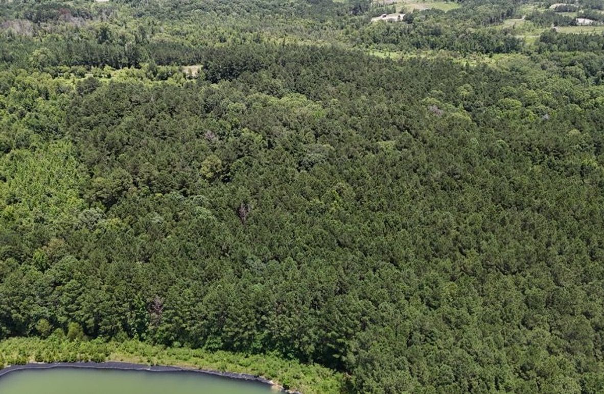 DJI_20250620020310_0631_D