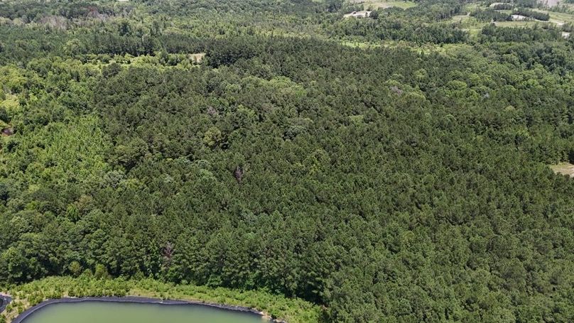 DJI_20250620020310_0631_D