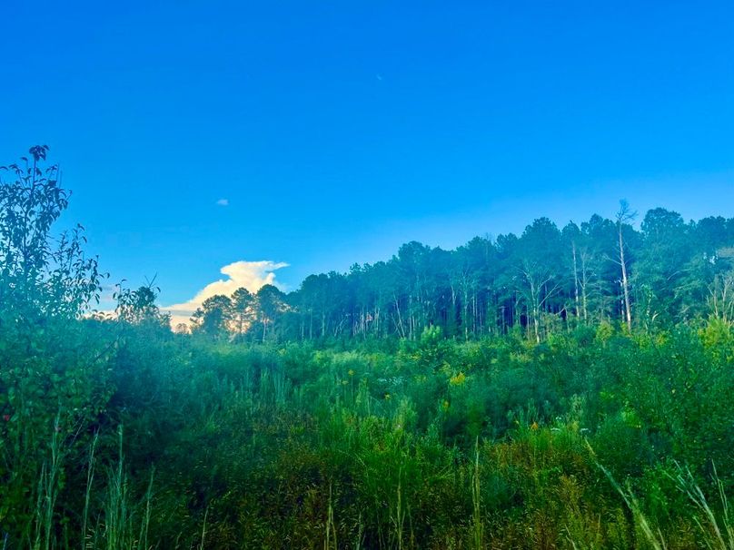 ED853429-C0EE-473F-A2BA-D462E26D8136_1_201_a