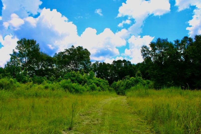 6426FA7B-A637-43DA-8A93-D372F6769AD3_1_201_a