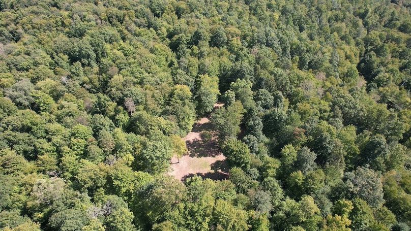 dji_fly_20240906_144222_619_1725648418326_photo