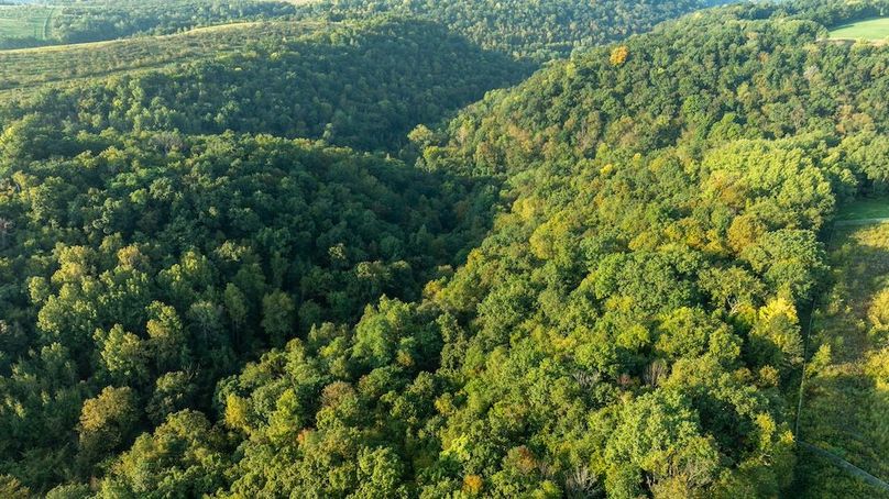 Copy of Winona MN 138 Featured_Pro Photo-113