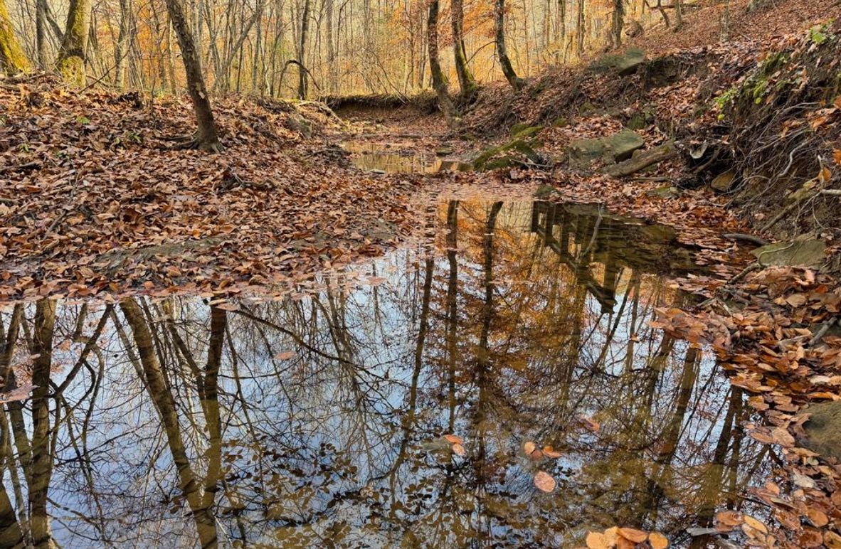 002  peaceful waters of threemile creek-2
