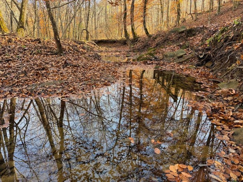 002  peaceful waters of threemile creek-2