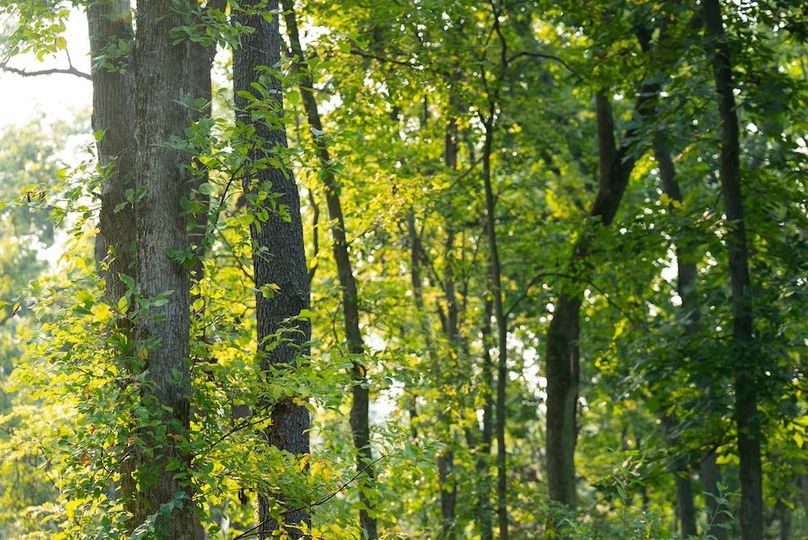 Cedar IA 152 Featured-Z83