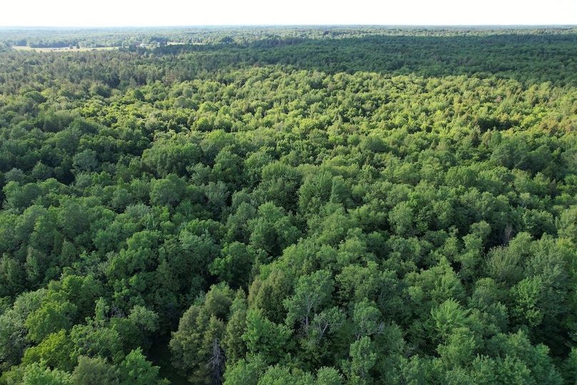 Jefferson_260.3_ Lobach_Photos_45