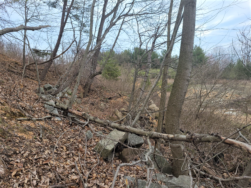 2.87ac_CokesburyRd_CECIL_PIC_018