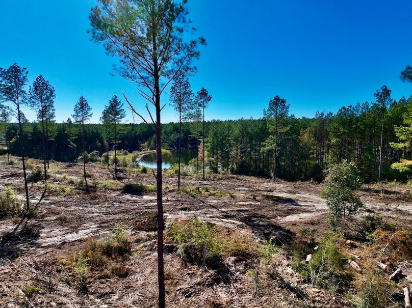 8DEEA5A6-2794-47EB-BC15-21127E30153C_1_201_a