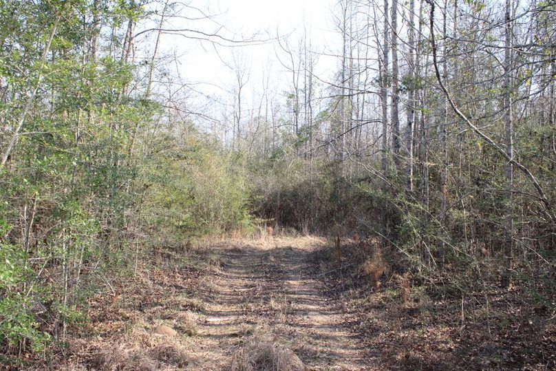 8AAB8D43-8A1B-4EDD-90DD-4D6DEA947DB4_1_105_c