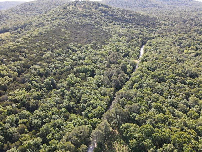 dji_fly_20260514_092638_772_1778768882887_photo