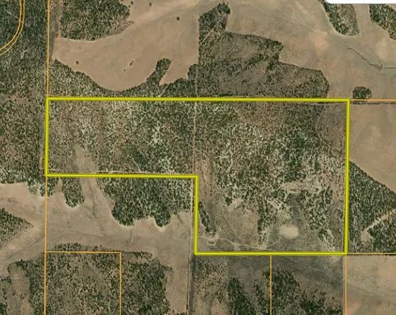 Copy of Screen Shot 2023-10-09 at 2.20.55 PM