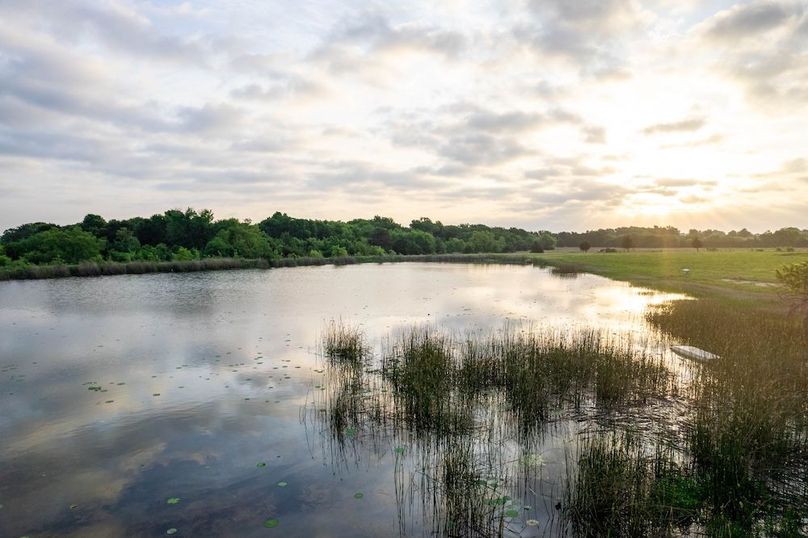 Lamar County- 89.8 acres-42