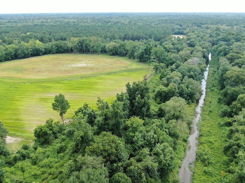 A1D343C1-E8A8-4C45-9FB1-FEF9F2957995