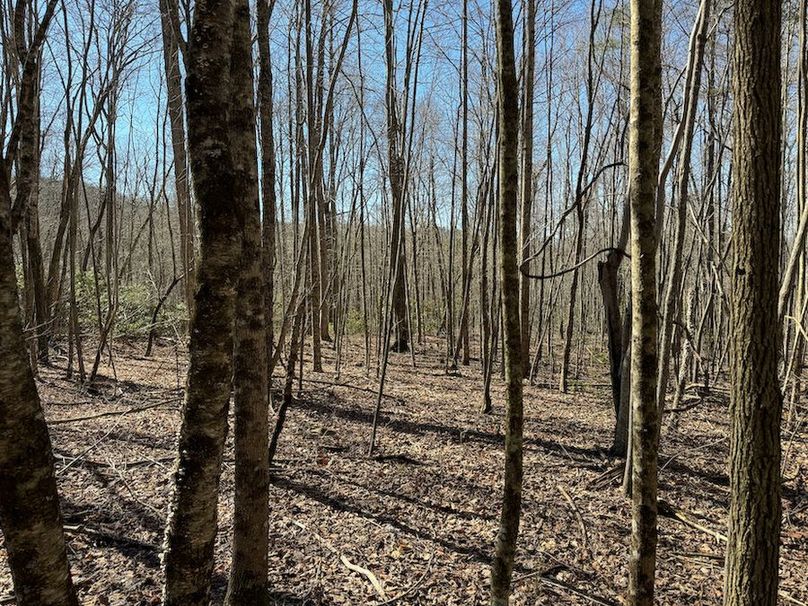 Cherokee 118.85 Harris Top-16