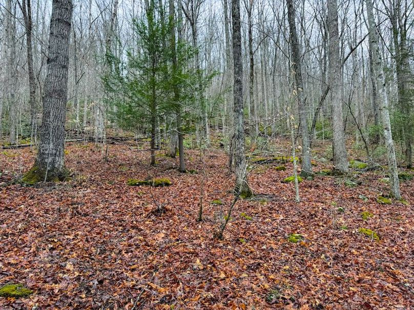 Braxton, WV 2.31 AC Winslow_Cole-10