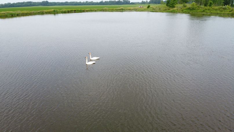 DJI_0876